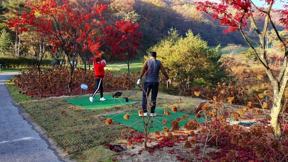 2000769928_tYdeQEPz_d56b7bcdc3908703b992e82db095ee8c32b1766f.jpg 이미지크게보기