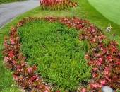 silder_img7